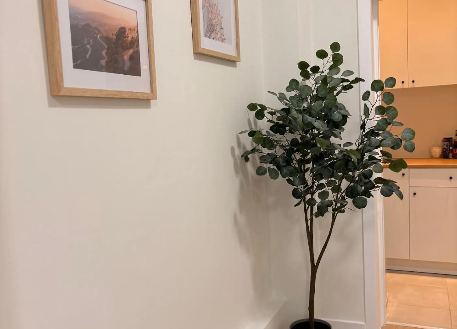 Fully Renovated Studio Near Brussels Centre & Midi